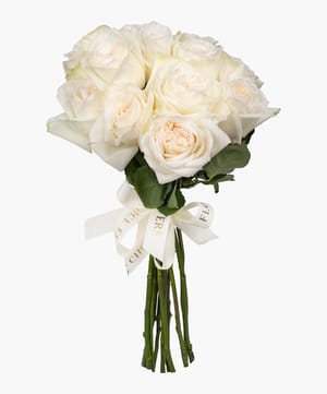 ohara wardah edition ohara rose online flower delivery Dubai and Abu Dhabi