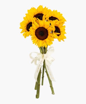 Sunflower Bunch Editions