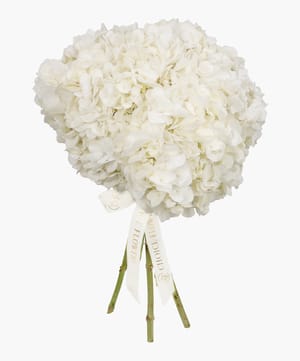 hydrangea luxe bunch online flower delivery Dubai and Abu Dhabi