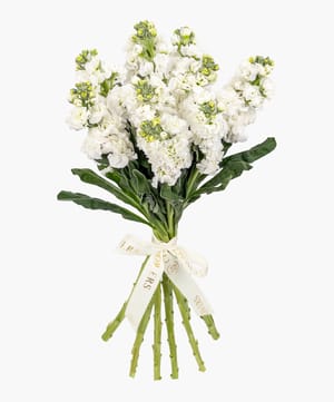 mathiola hand tie online flower delivery Dubai and Abu Dhabi