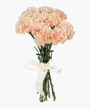 carnation floral bunch online flower delivery Dubai and Abu Dhabi