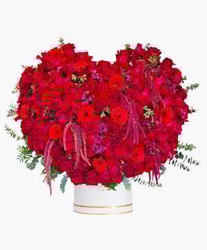 Scarlet Romance Gift