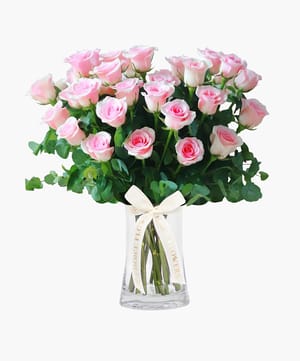 Admiration Pink Roses