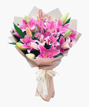 Lilly of Love and Wishes