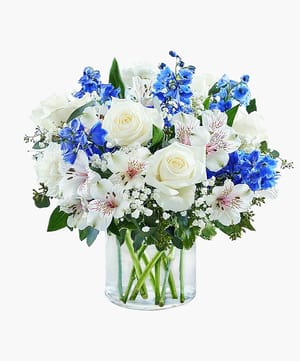 Welcome To The World