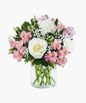 Little Surprise Baby Girl