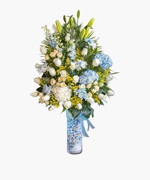 Little Prince Welcome