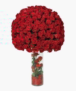 Luxury Red Rose Vase