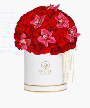 Big Red Rose Cymbidium Premium