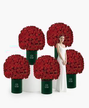 Queen’s Regal Roses