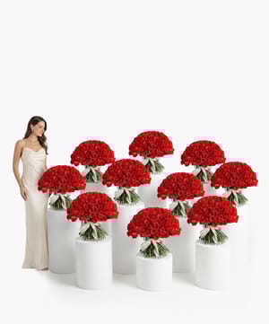 Signature Giant Red Roses