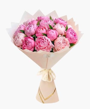 Signature Pink Peony