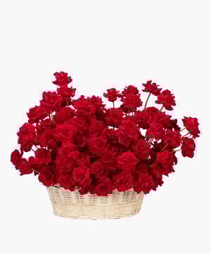 Grand Red Roses Basket