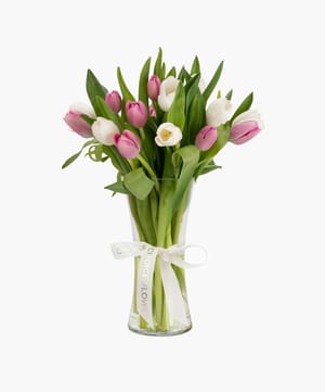 white & pink tulip vase arrangement online flower delivery Dubai and Abu Dhabi