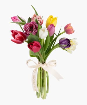 mix color tulip bunch online flower delivery Dubai and Abu Dhabi