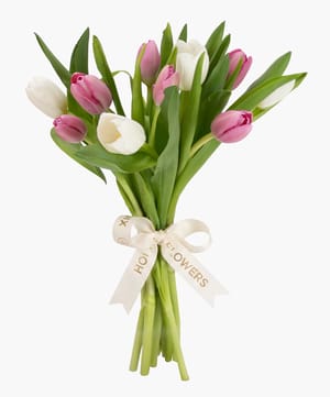 floral duo tulip bunch online flower delivery Dubai and Abu Dhabi