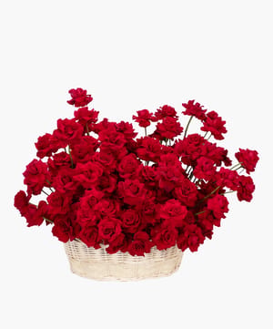 red majesty basket luxury flowers online flower delivery Dubai and Abu Dhabi