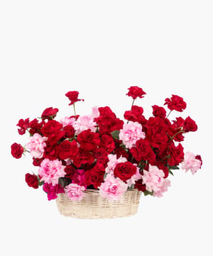 ruby blush basket luxury flowers online flower delivery Dubai and Abu Dhabi