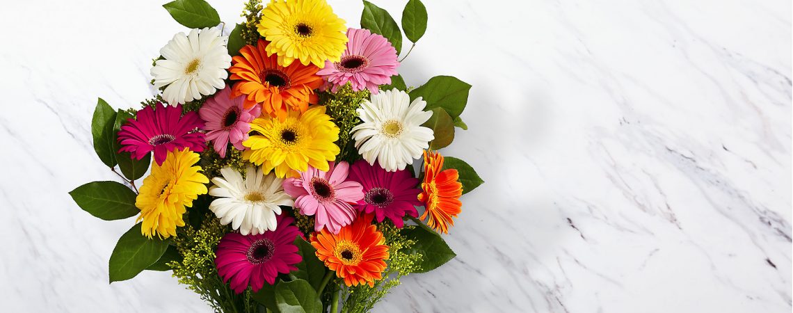 Best Gerbera Flower Arrangements for Special Occasions
