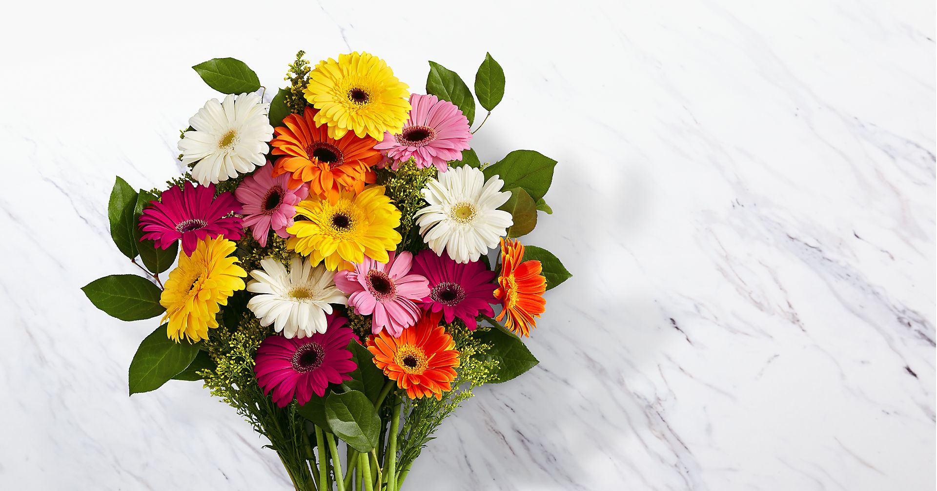 Best Gerbera Flower Arrangements for Special Occasions
