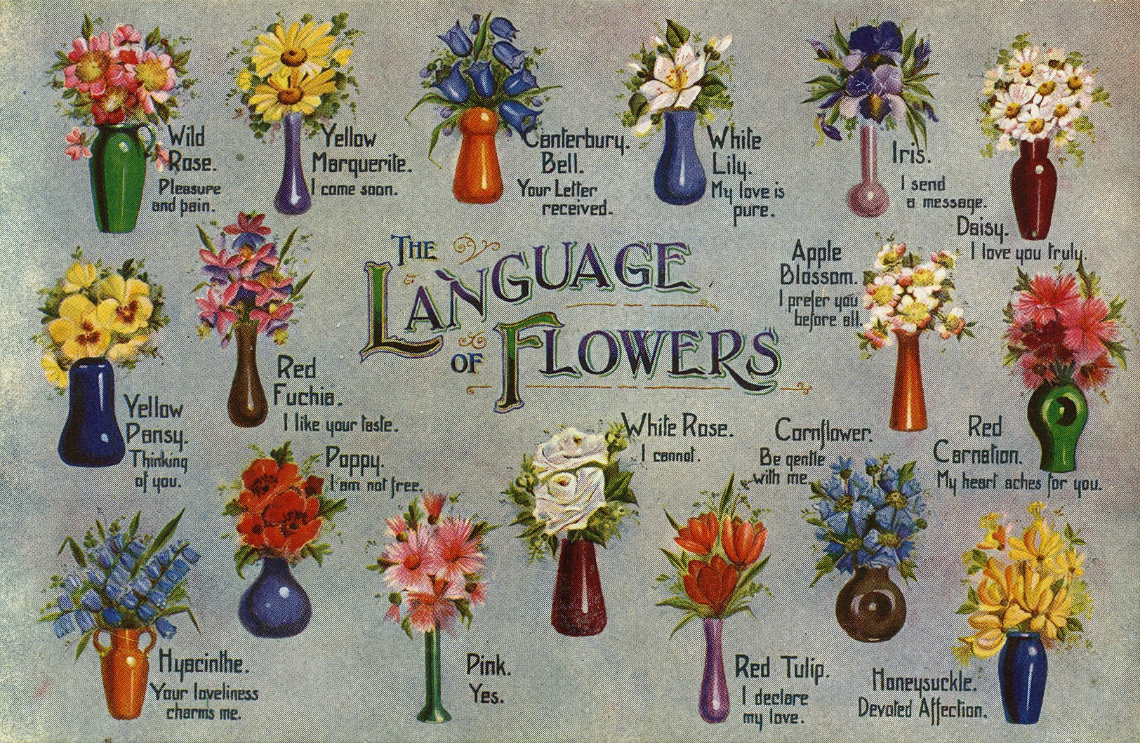 Language of Flowers and their Meaning