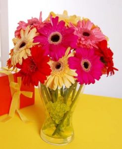 gerbera online delivery