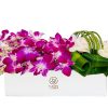 Purple Orchid with Cymbidium in White Vase Zoom1