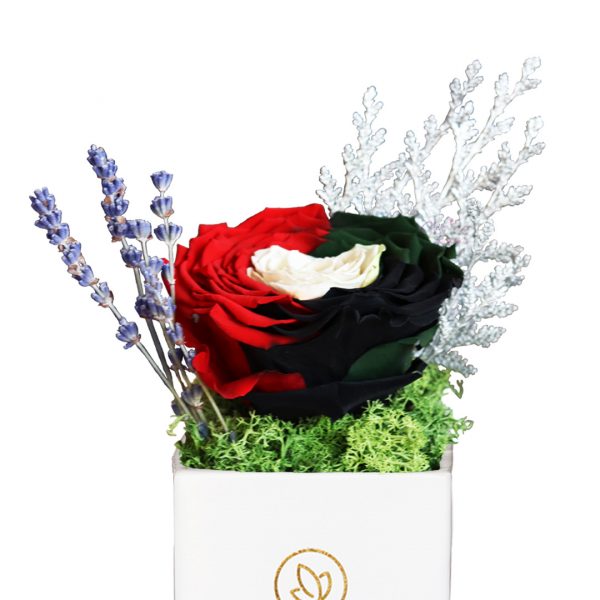 UAE Forever Rose in White Vase Zoom