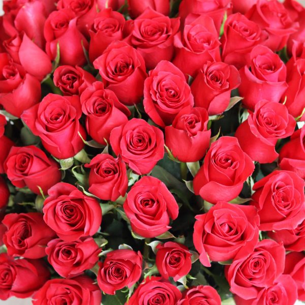 100 Red Roses in White Box Zoom 1