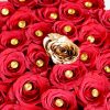 Golden Rose with Red Roses Zoom1