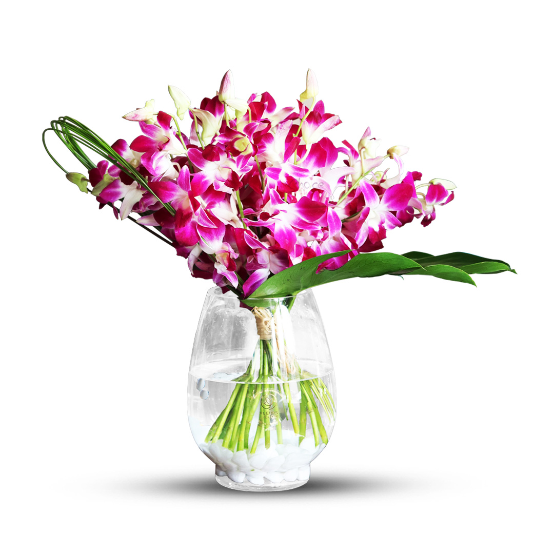 Purple Dendrobium Orchids in Glass Vase | Birthday Special