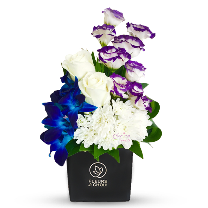 Rose, Lisianthus with Orchid | Colors of Charm Arrangement