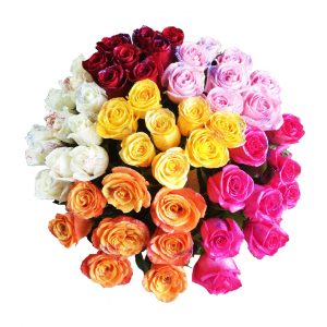 Mixed Coour Roses in Basket Zoom 2