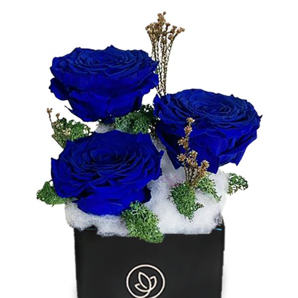 Blue Forever Roses in Black Vase zoom 1