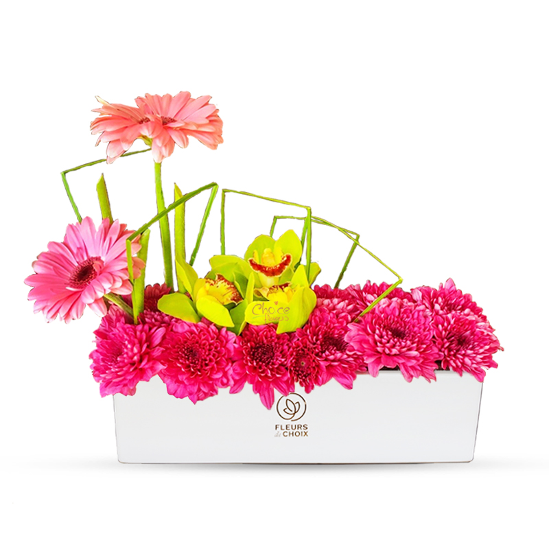 Gerbera with Cymbidium and Chrysanthemum | Everyday Elegance
