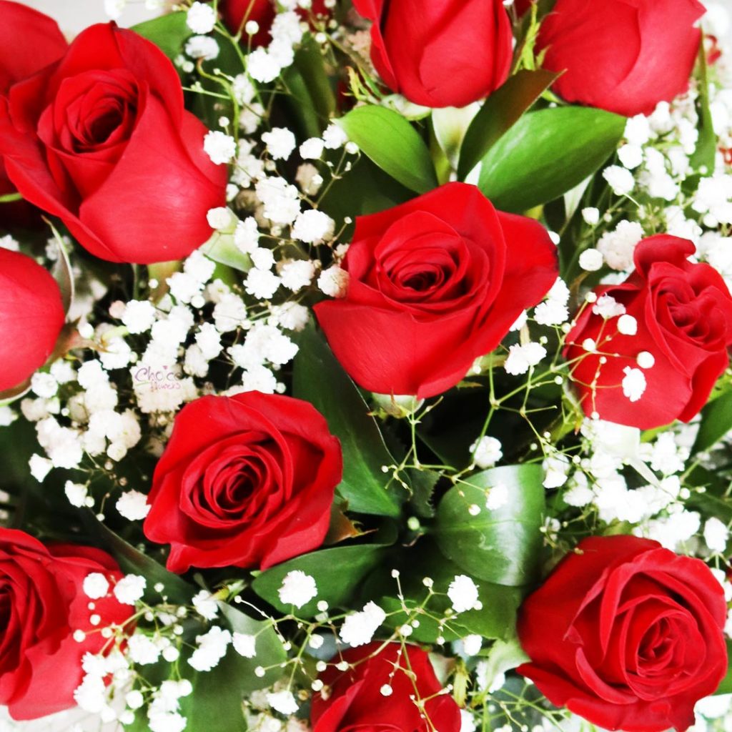 Valentine Roses in Glass Vase | My Romance Arrangement