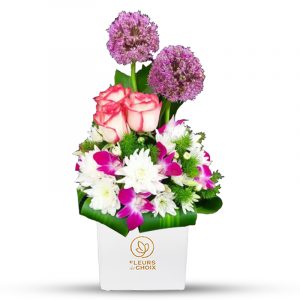 Vibrant Mixed Colour Flower in White Vase