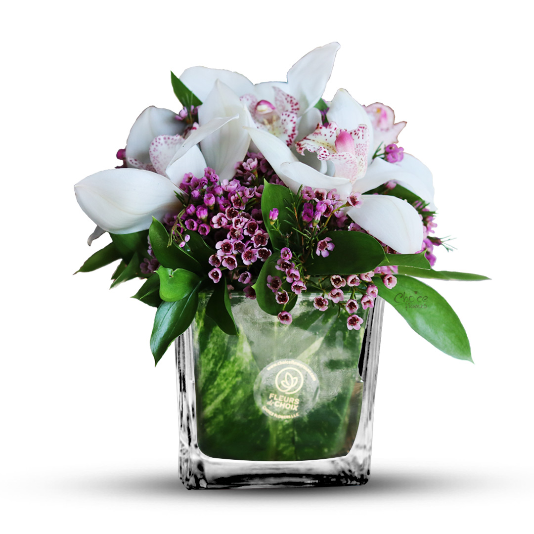 White Cymbidium with Fillers | Blessed Stars Arrangement