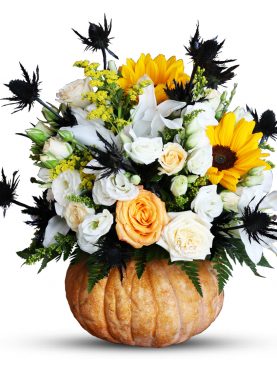 Halloween Day Special