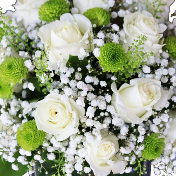 White Roses with Gypsophilia Zoom2