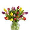 Mixed Tulips in Glass vase Zoom 1