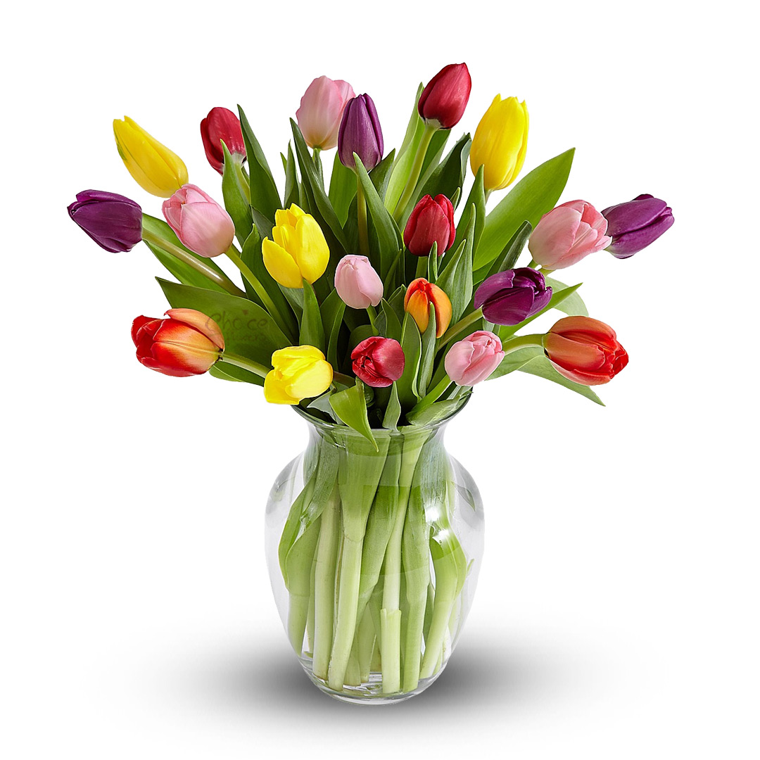 Mixed Tulips in Glass vase | Lucky Mother Arrangement