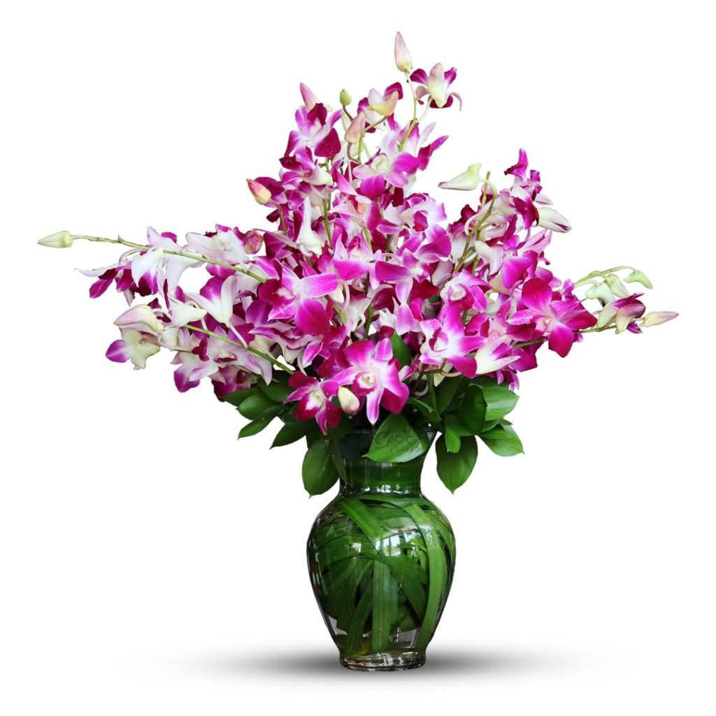 Purple Orchids in Glass Vase Orchid Vase Purple