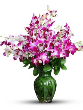 Orchid Vase Purple