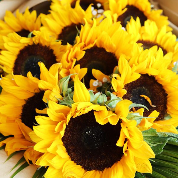Sunflower Hand Bouquet Zoom 2