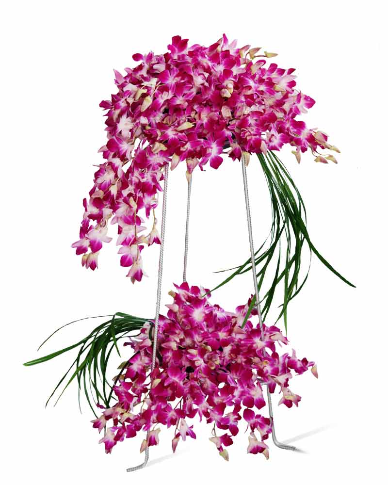 Orchid On Stand