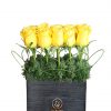 Yellow Roses Bouquet in Black Rectangular Vase Zoom 1