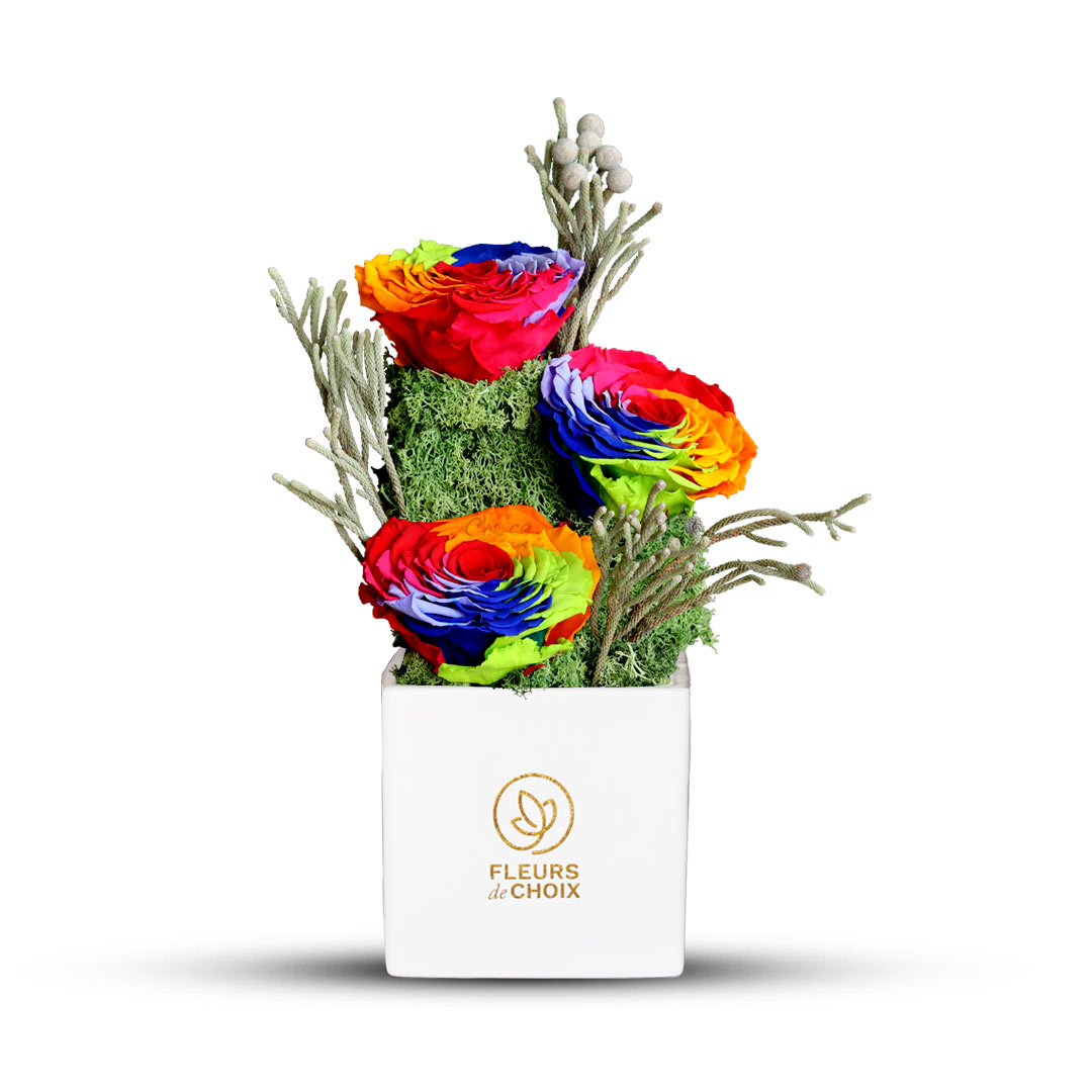 Rainbow Forever Rose Delivery Abu Dhabi | Forever Rose Delivery UAE