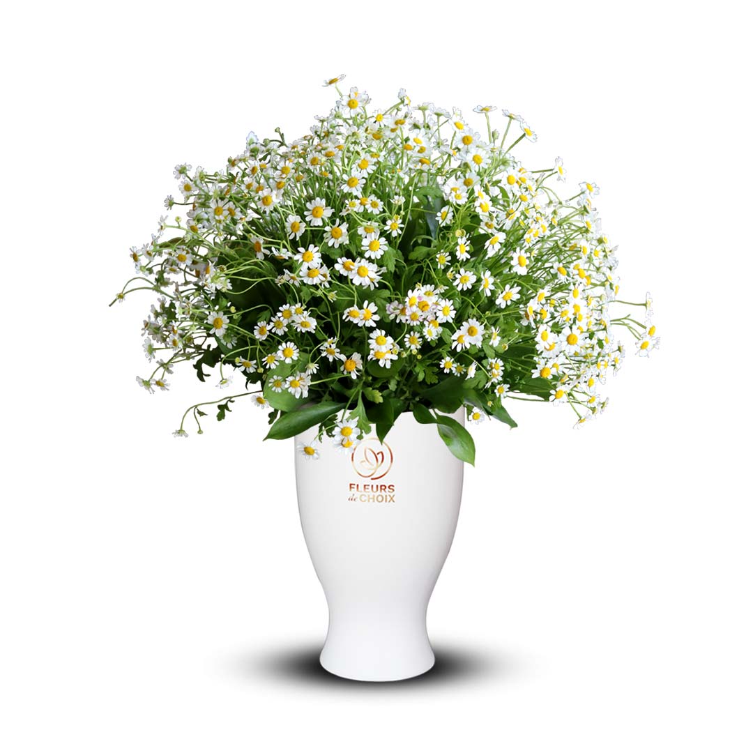 Innocence of Beauty Arrangement | Send Flowers Abu Dhabi, UAE