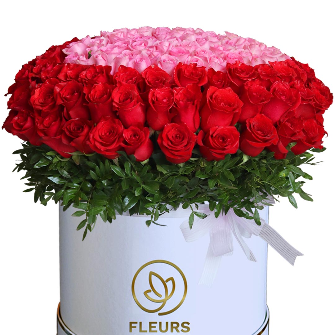 150 Mixed Roses Delivery Abu Dhabi | Rose Delivery Dubai